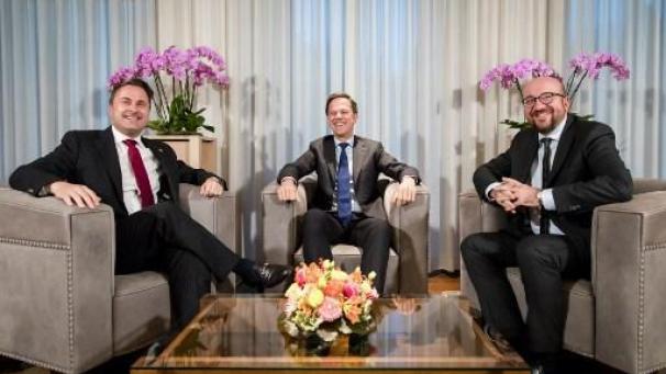 Edition numérique des abonnés