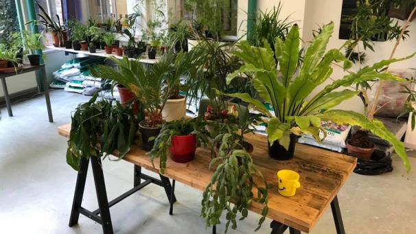 Edition numérique des abonnés