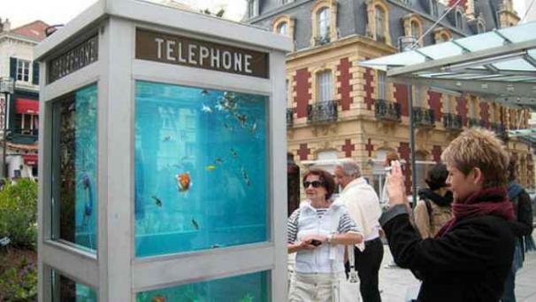 Edition numérique des abonnés