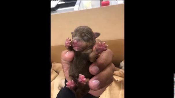 Edition numérique des abonnés