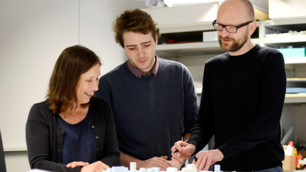 Edition numérique des abonnés