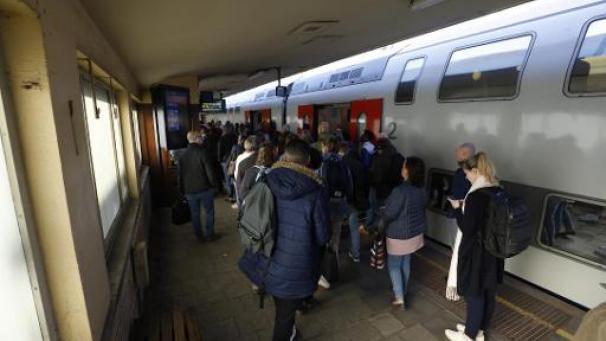 Edition numérique des abonnés