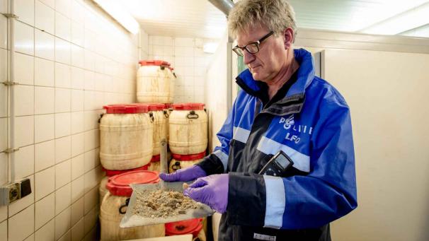 Edition numérique des abonnés