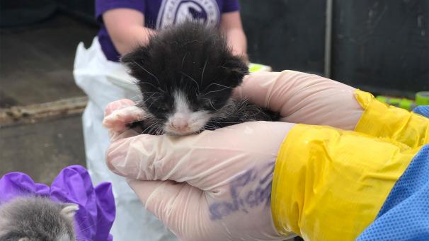 Edition numérique des abonnés