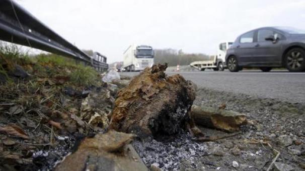 Edition numérique des abonnés