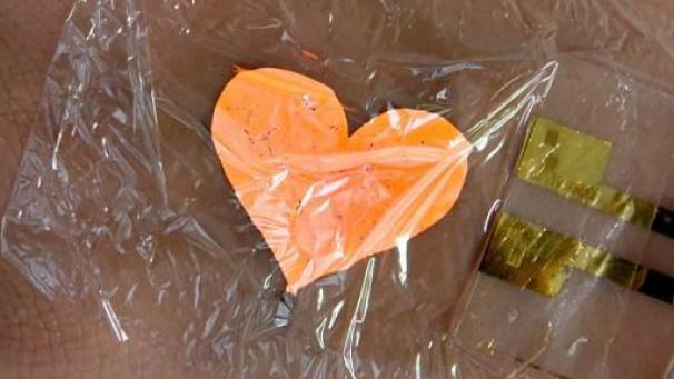 Edition numérique des abonnés