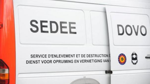 Edition numérique des abonnés