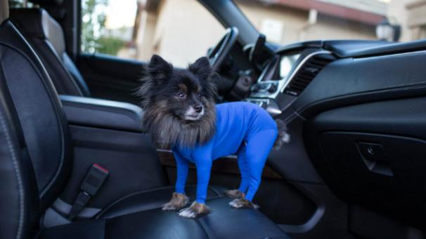 Edition numérique des abonnés