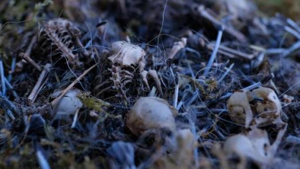 Edition numérique des abonnés