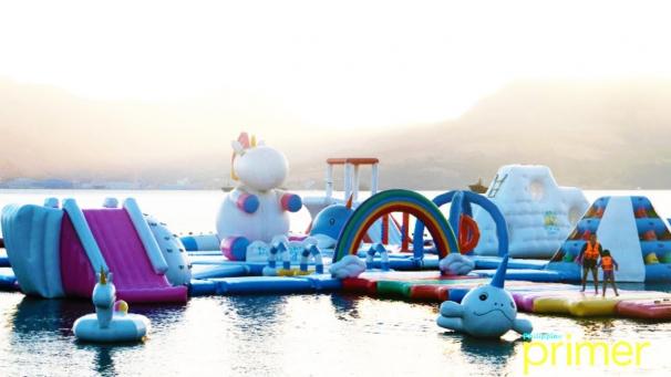 Edition numérique des abonnés