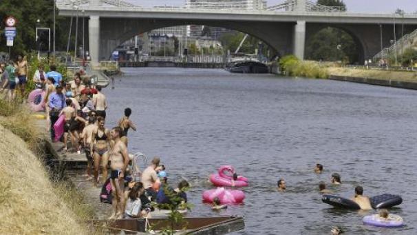 Edition numérique des abonnés