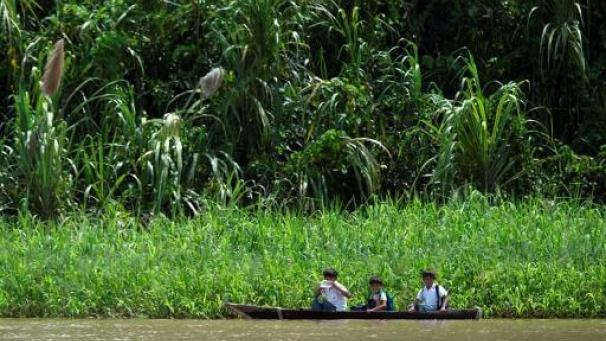 Edition numérique des abonnés