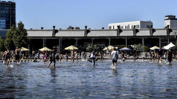 Edition numérique des abonnés