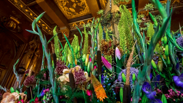 Edition numérique des abonnés