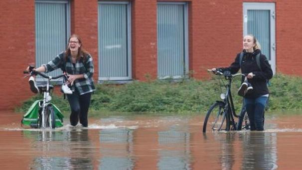 Edition numérique des abonnés