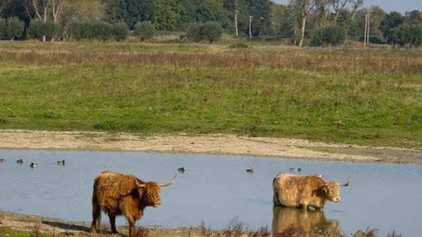 Edition numérique des abonnés