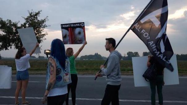 Edition numérique des abonnés