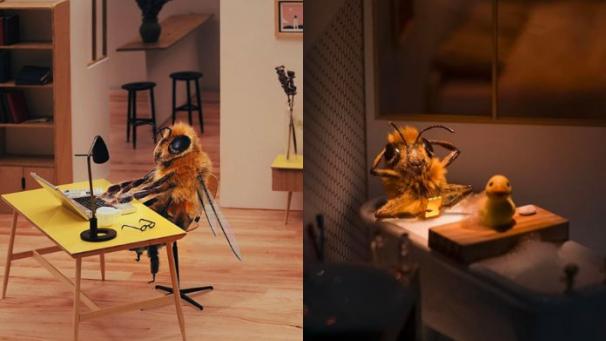 Edition numérique des abonnés