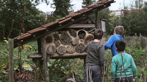 Edition numérique des abonnés