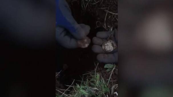 Edition numérique des abonnés