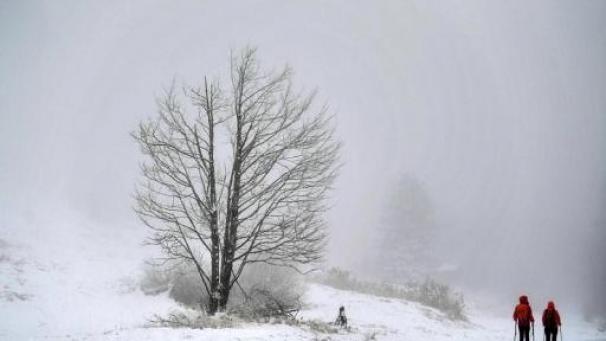 Edition numérique des abonnés