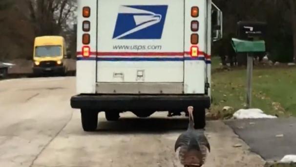 Edition numérique des abonnés