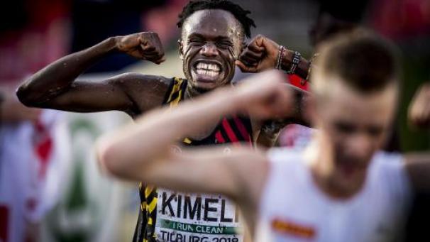 Edition numérique des abonnés