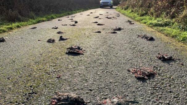 Edition numérique des abonnés