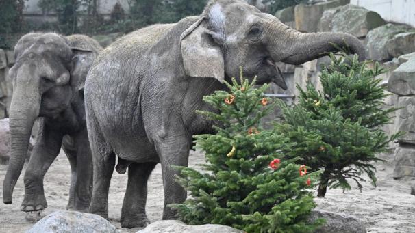 Edition numérique des abonnés