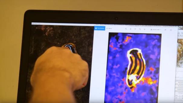 Edition numérique des abonnés