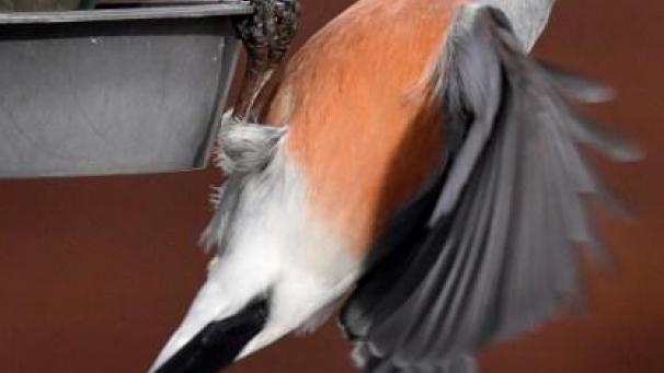 Edition numérique des abonnés