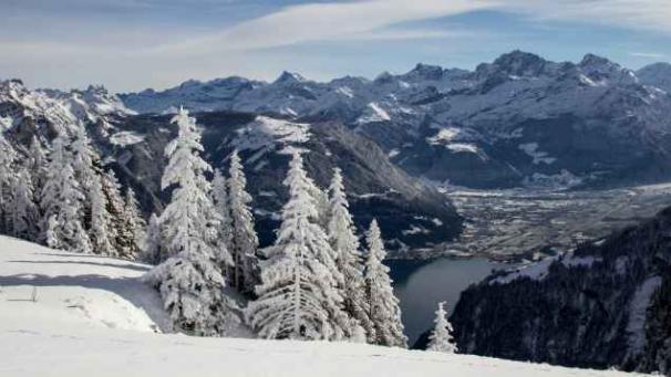 Edition numérique des abonnés