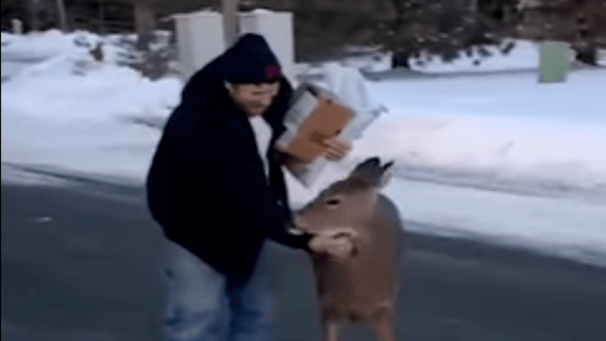 Edition numérique des abonnés