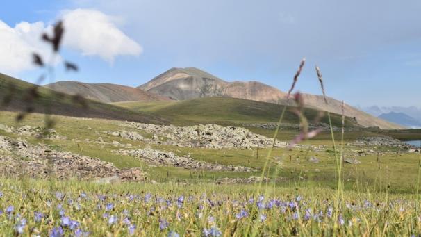 Edition numérique des abonnés