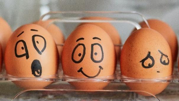 Edition numérique des abonnés