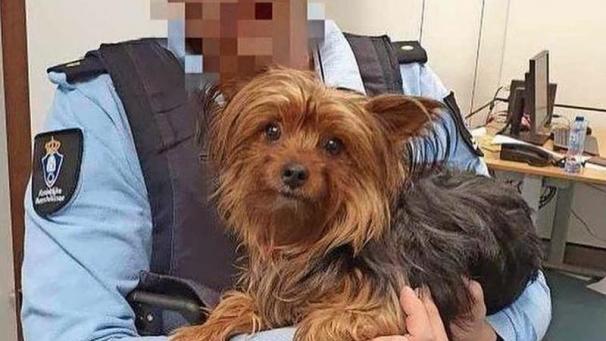 Edition numérique des abonnés