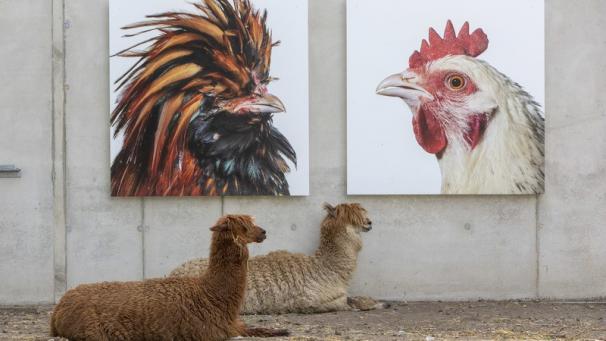 Edition numérique des abonnés