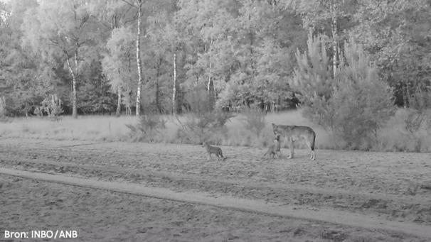 Edition numérique des abonnés