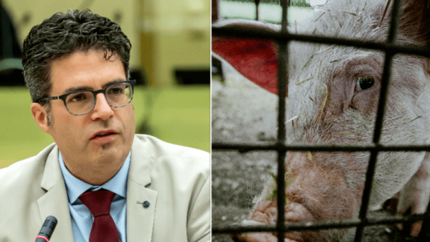 Edition numérique des abonnés