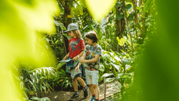 Edition numérique des abonnés