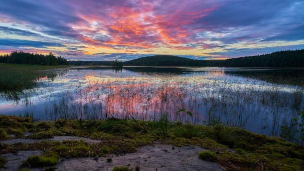 Edition numérique des abonnés