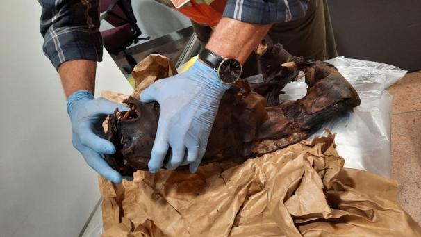 Edition numérique des abonnés