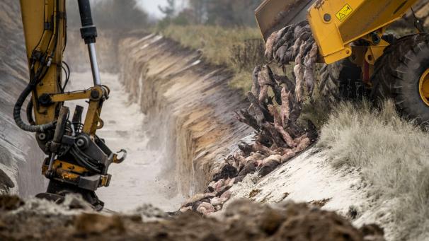 Edition numérique des abonnés