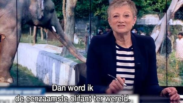 Edition numérique des abonnés