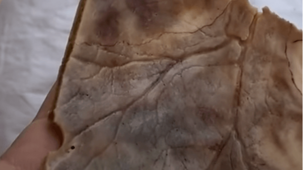 Edition numérique des abonnés