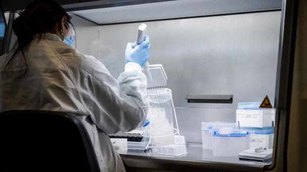 Edition numérique des abonnés