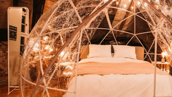 Edition numérique des abonnés