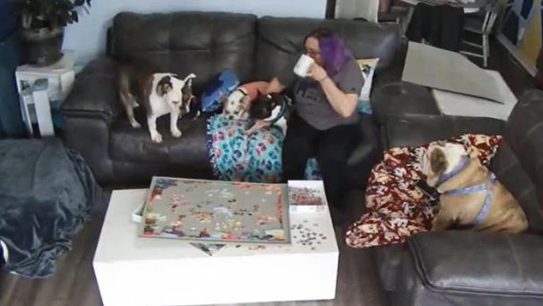 Edition numérique des abonnés