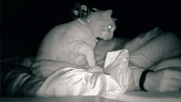 Edition numérique des abonnés