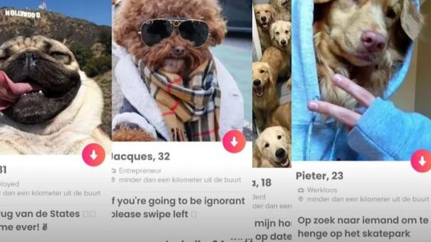 Edition numérique des abonnés